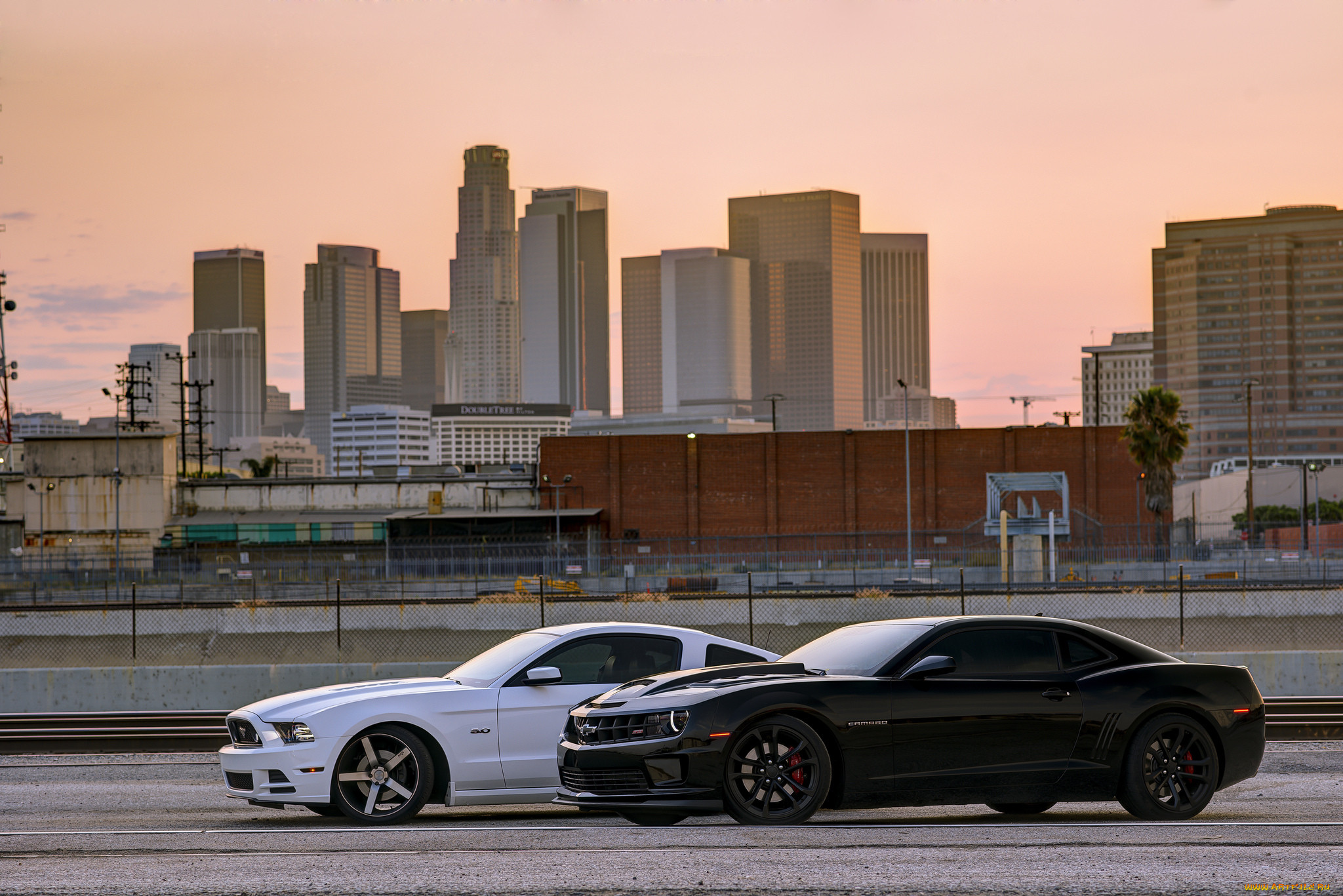 ,  , ford, mustang, chevrolet, camaro, ss, white, black, , , , , , , 